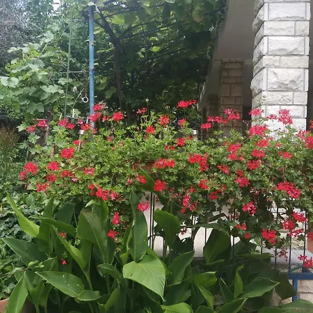 Appartement Pri Noni 